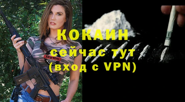 гашик Покровск