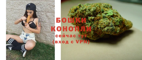 гашик Покровск