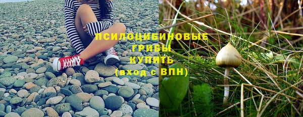 герыч Покачи