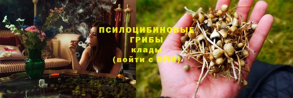 гашик Покровск
