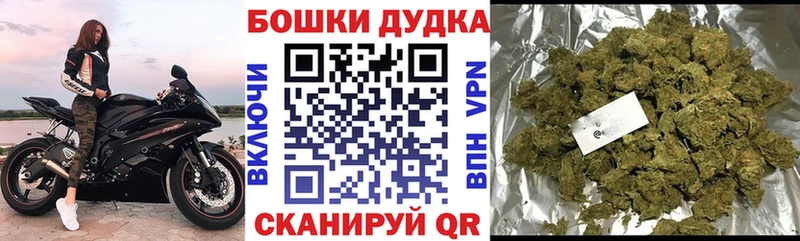 Купить закладки  Сергач  Каннабис планчик 